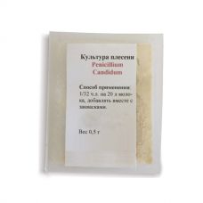 Культура плесени Penicillium Candidum в Саранске